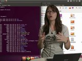 Linux Terminal 101 - Getting Started - HakTip