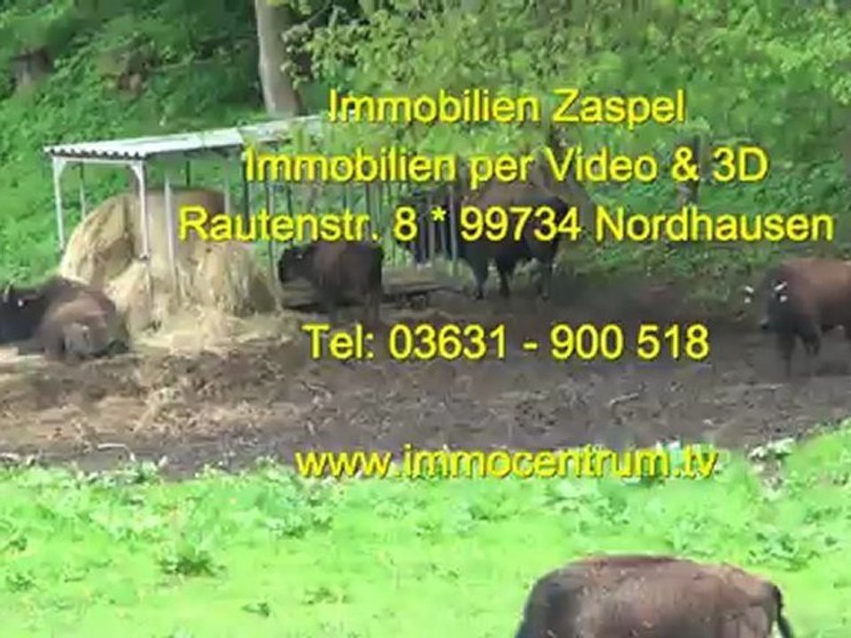 Ruedigsdorf bei Nordhausen im Freistaat Thüringen