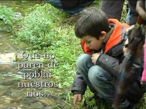 Suelta de angulas en el río Mazo ( el Franco - Asturias ) por SALTERNAVIA