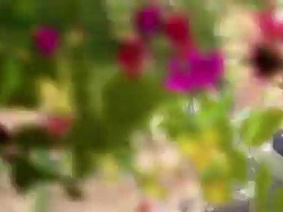 Atelier Ayesha : Alchemist of Twilight Ground (PS3) - Premier trailer