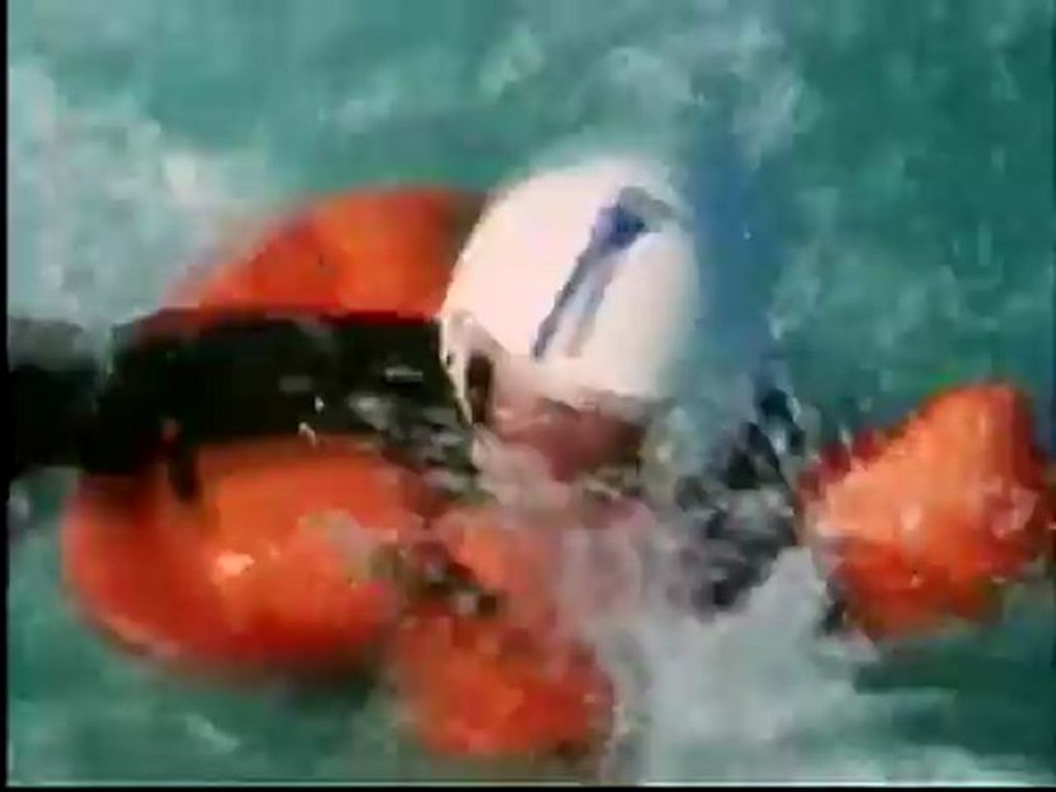 Sharkwater - DVD extra - US Airforce Training Film (extract)