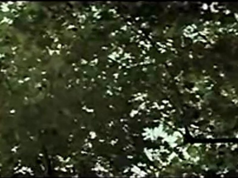 Flight of the Red Balloon - Clip - Simon with red balloon