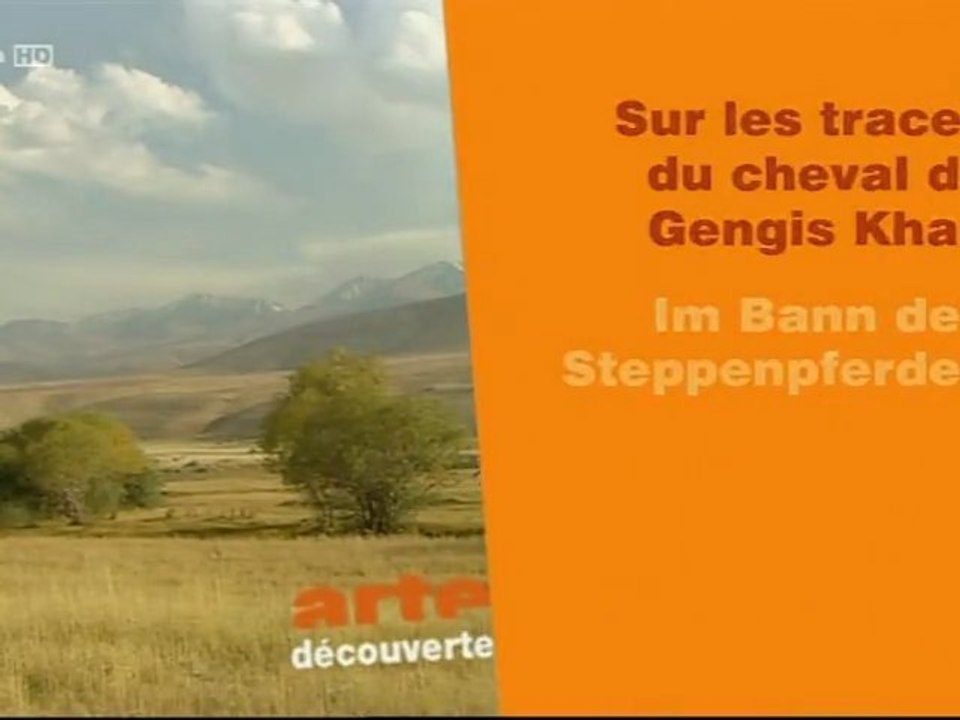 Sur les traces du cheval de Gengis Kahn
