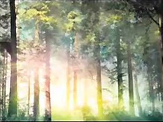 The Spiderwick Chronicles