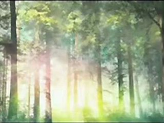 The Spiderwick Chronicles - DVD Trailer