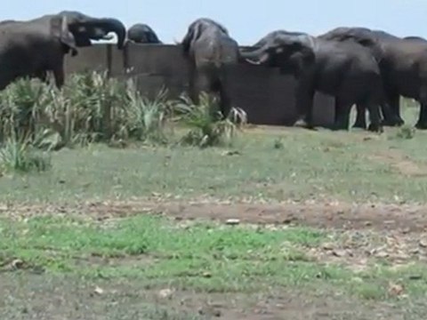 Skukuza Rest Camp Accommodation Bookings for Kruger ...