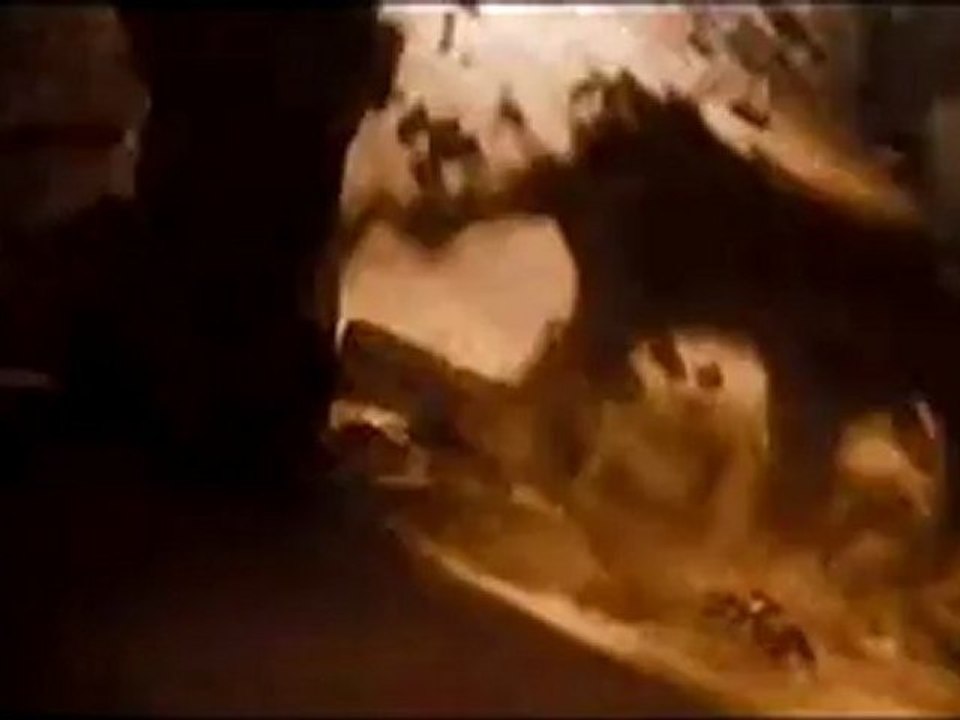 Prince of Persia: The Sands of Time - Clip - Fo...