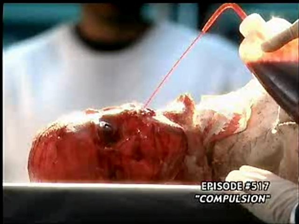 CSI: Crime Scene Investigation - Season 5 - DVD Extra - CSI Procedures (Extract)