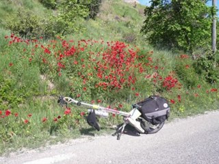 Raid des Chèvres - Jour 2 (matin)