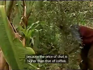 Black Gold - Clip - We are cutting down the coffee trees