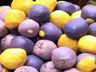 A Container-Load Of Onions Will Make Drug Dealers Weep