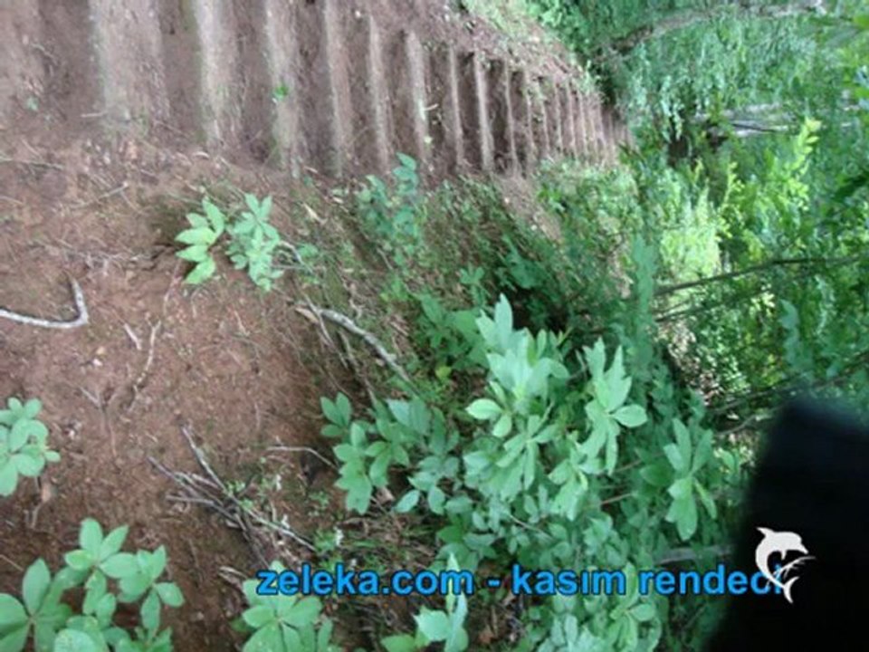 çaykara-kaval-kerim aydın