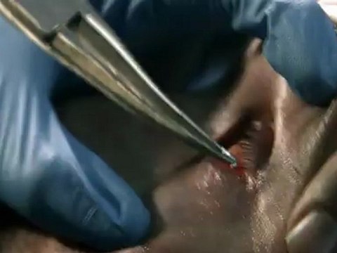 Falling Skies Season 2 Extended Trailer