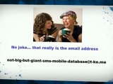 300,000,000 Over 300 Million Mobile SMS Text Messaging Numbers Affiliate Marketing Campaign 2012