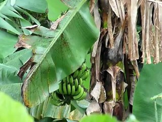 Navotas city Government