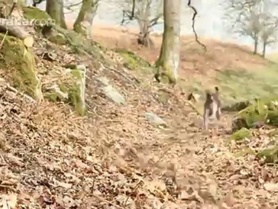 the Athertons: Rachel