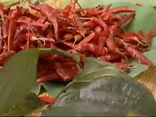 The Mistress of Spices - Clip - I had arrived