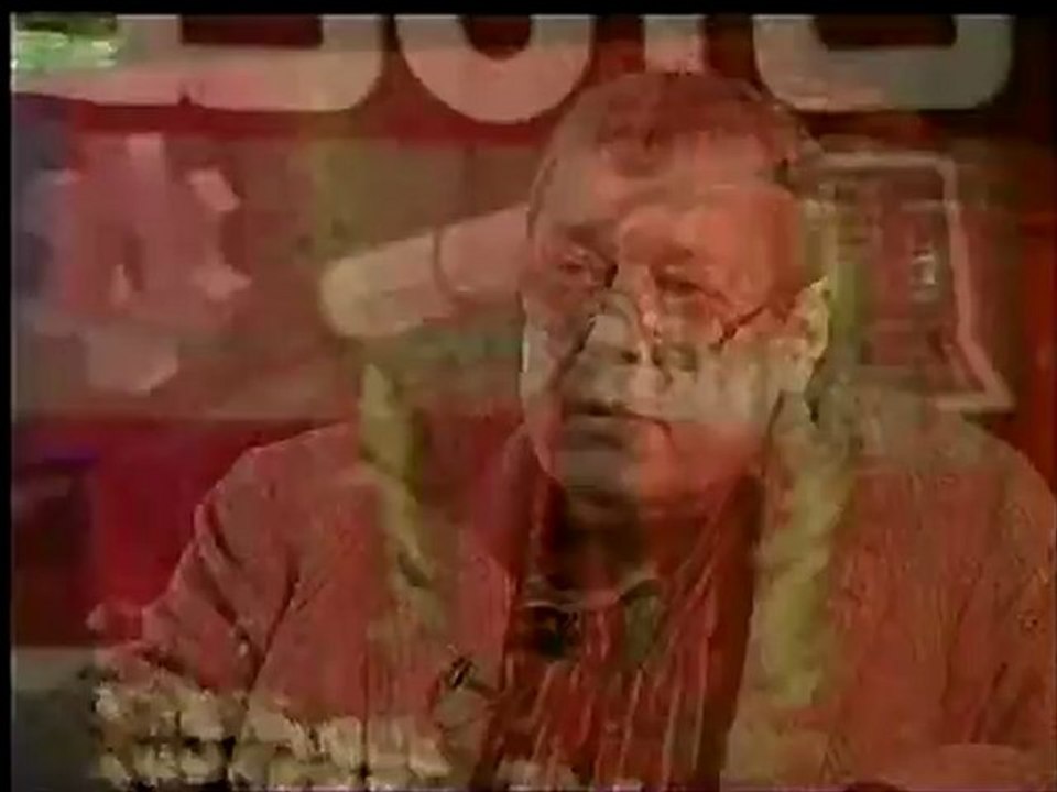 McLibel