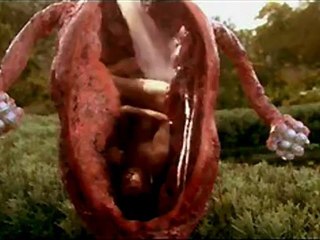 A Cock and Bull Story