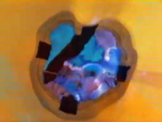 Into The Blue - Clip - I Found Something