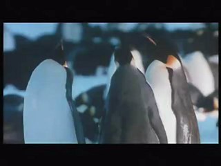 March Of The Penguins