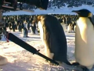 March Of The Penguins - Exclusive Interview with Luc Jacquet