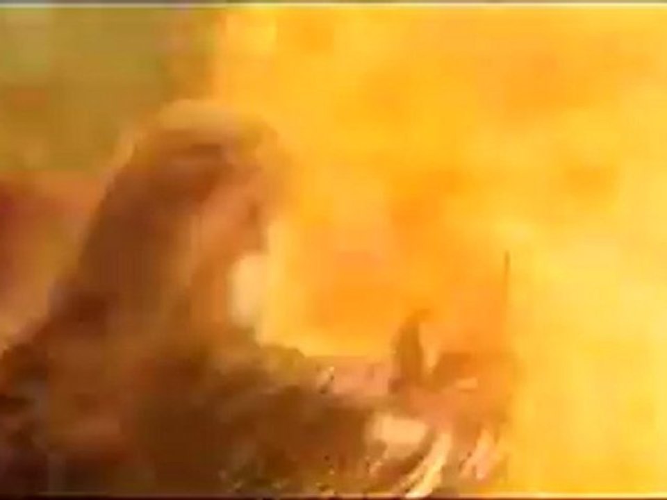 Eragon - Clip - What's that thing