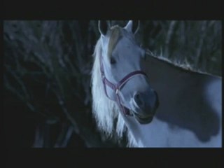 Racing Stripes - clip - i am already on your side
