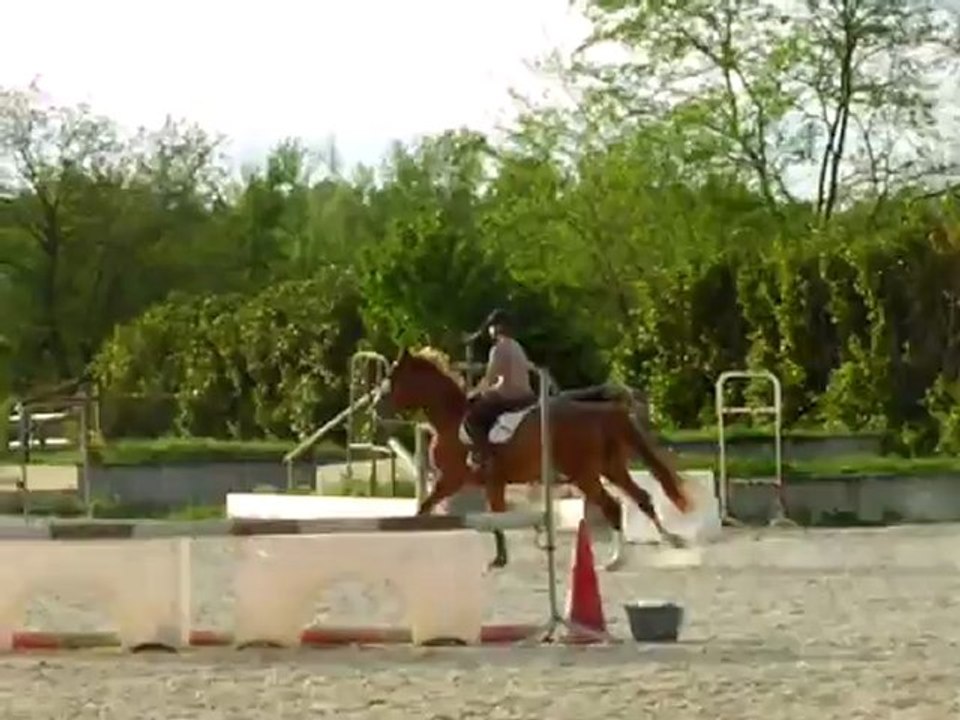 TIPTOP