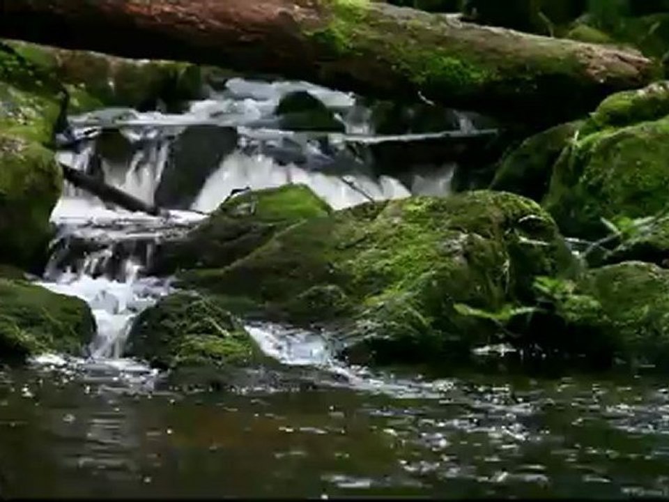 cascade Val d'Ajol  Test canon eos 5d Mark II + canon 24/105 série L + télécommande canon + filtre nd8