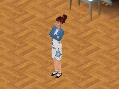 WTF Les Sims 44 - Daserine