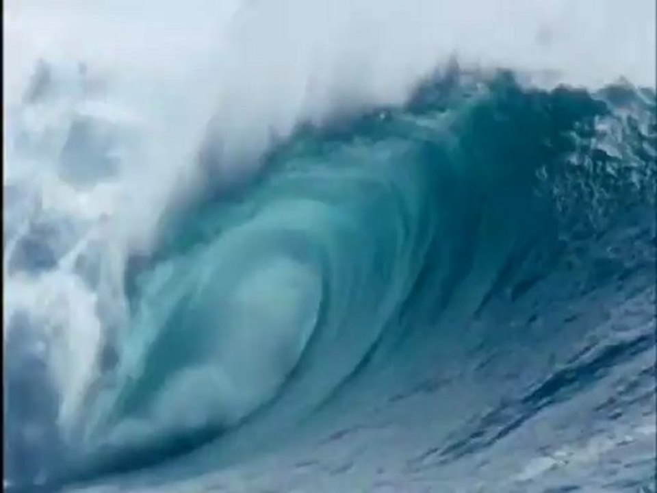 Deep Blue - Clip - Dolphins