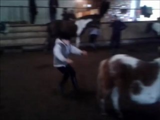 Centre Equestre de l'Hoste - Voltige - Avril 2012