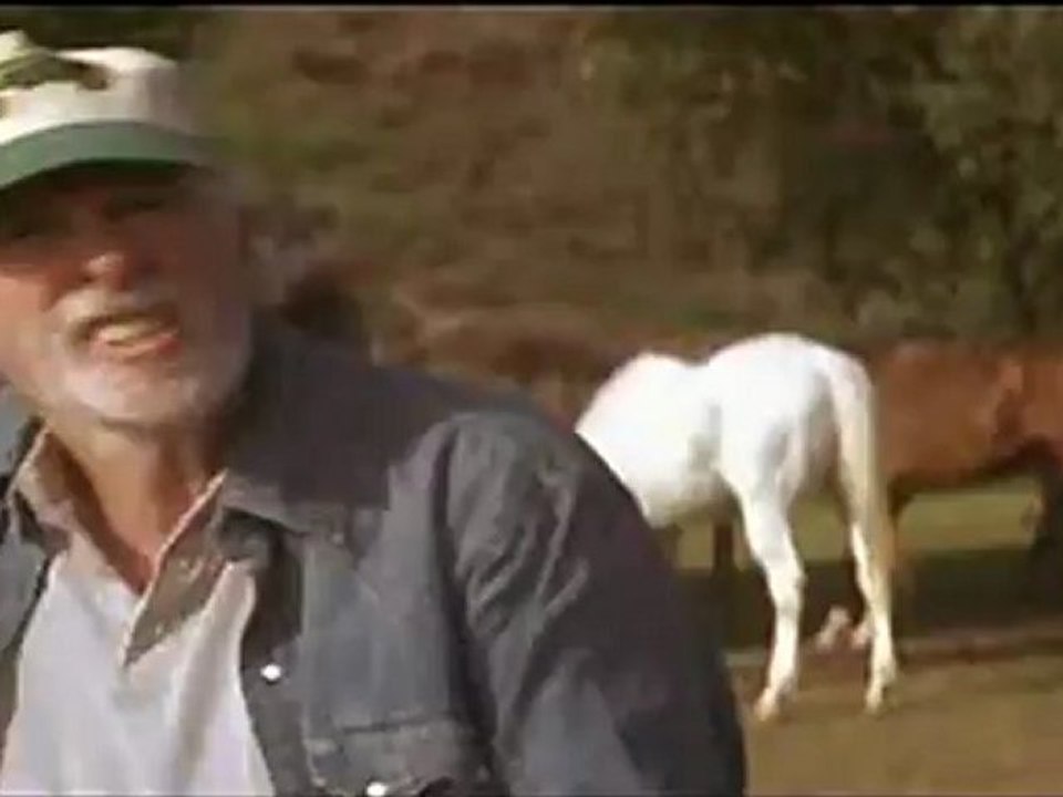 Down in the Valley