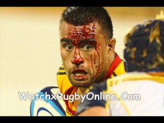 Reds vs Chiefs Match Online