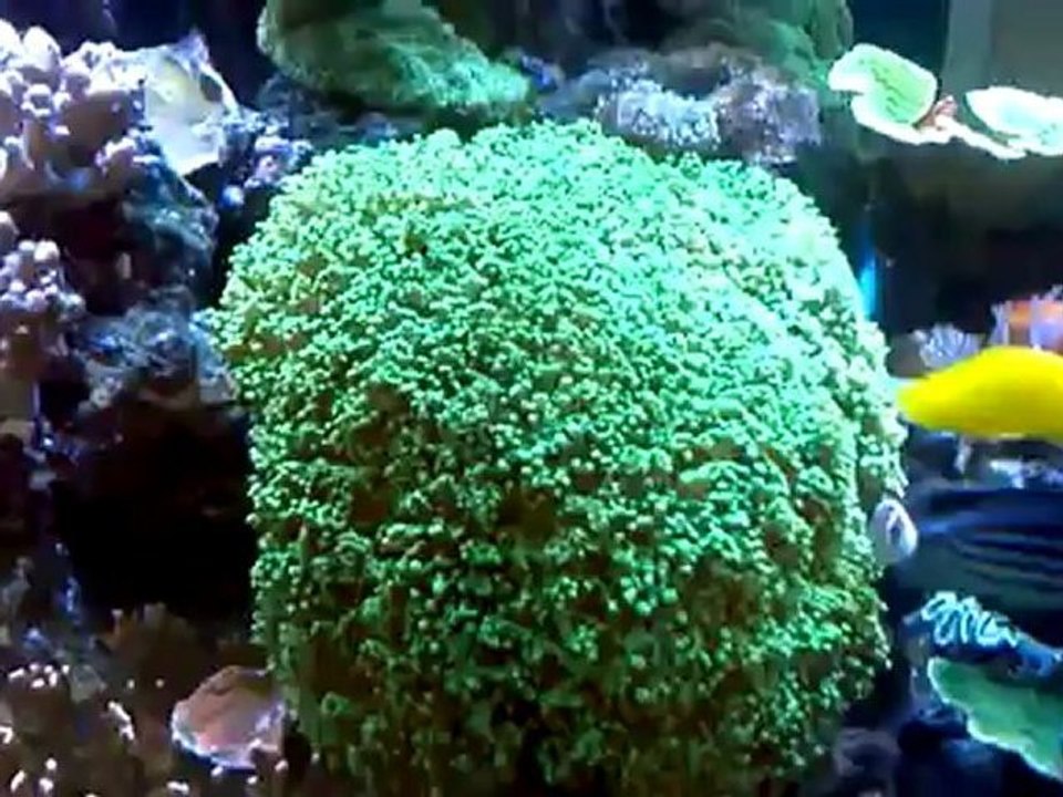 update 6 28 11 Changed some things around...