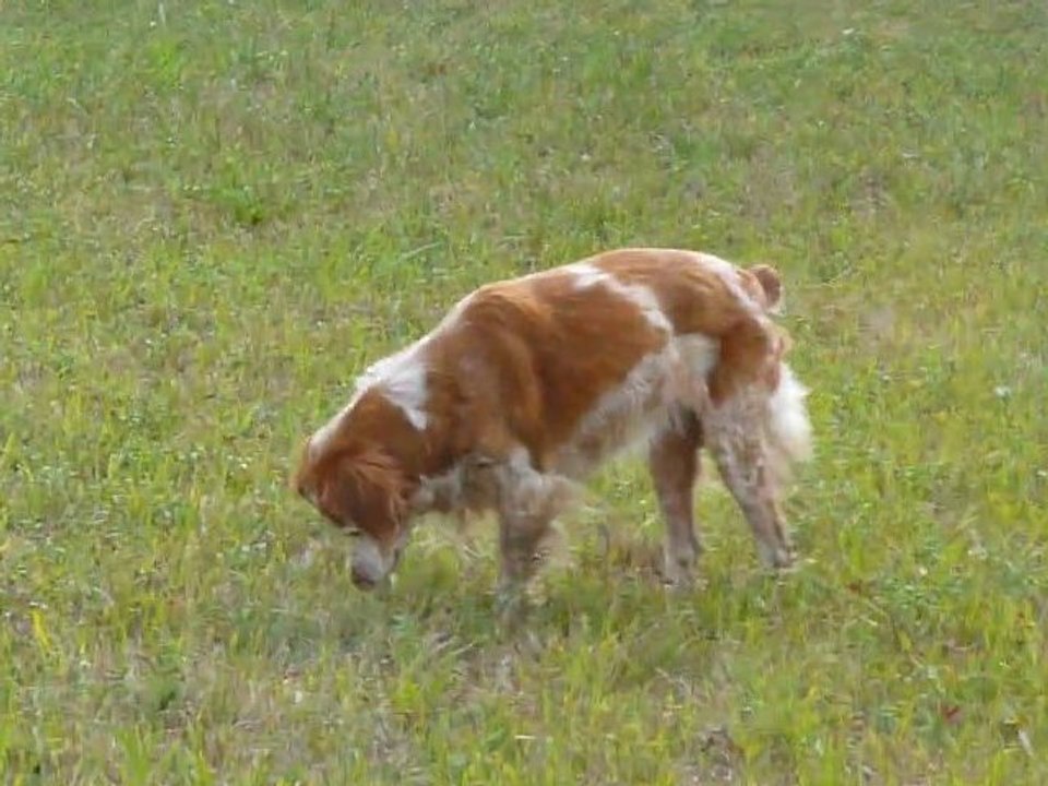 balade 5