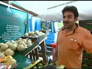 Bean sprouts likely source of E. coli crisis