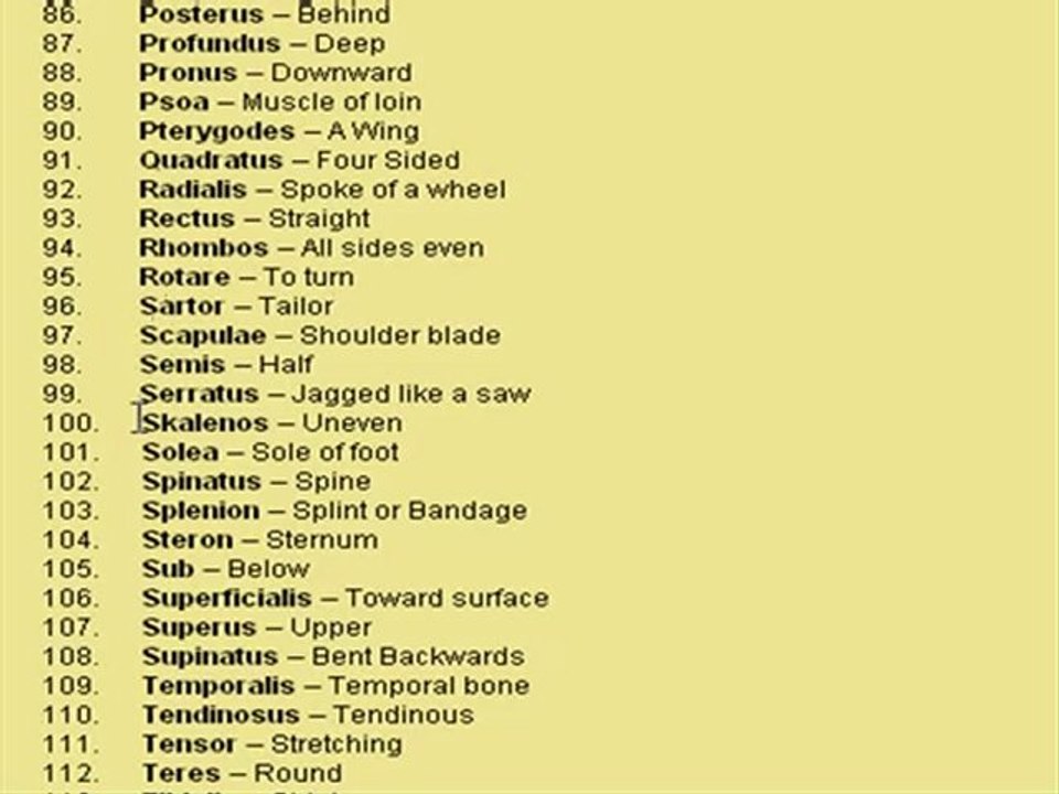 Latin Muscle Names