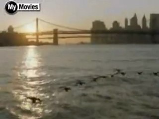 Winged Migration - Clip 2