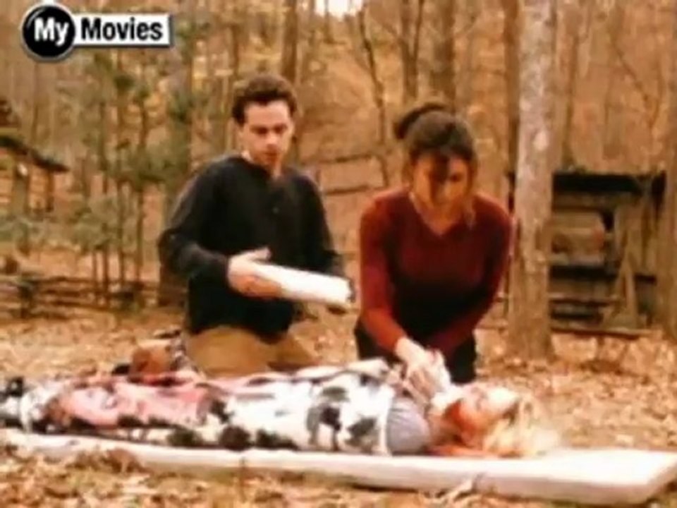 Cabin Fever - review