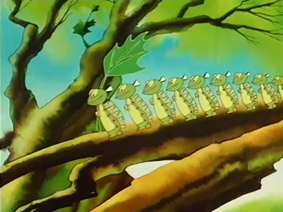 Vizipok csodapok S02E06