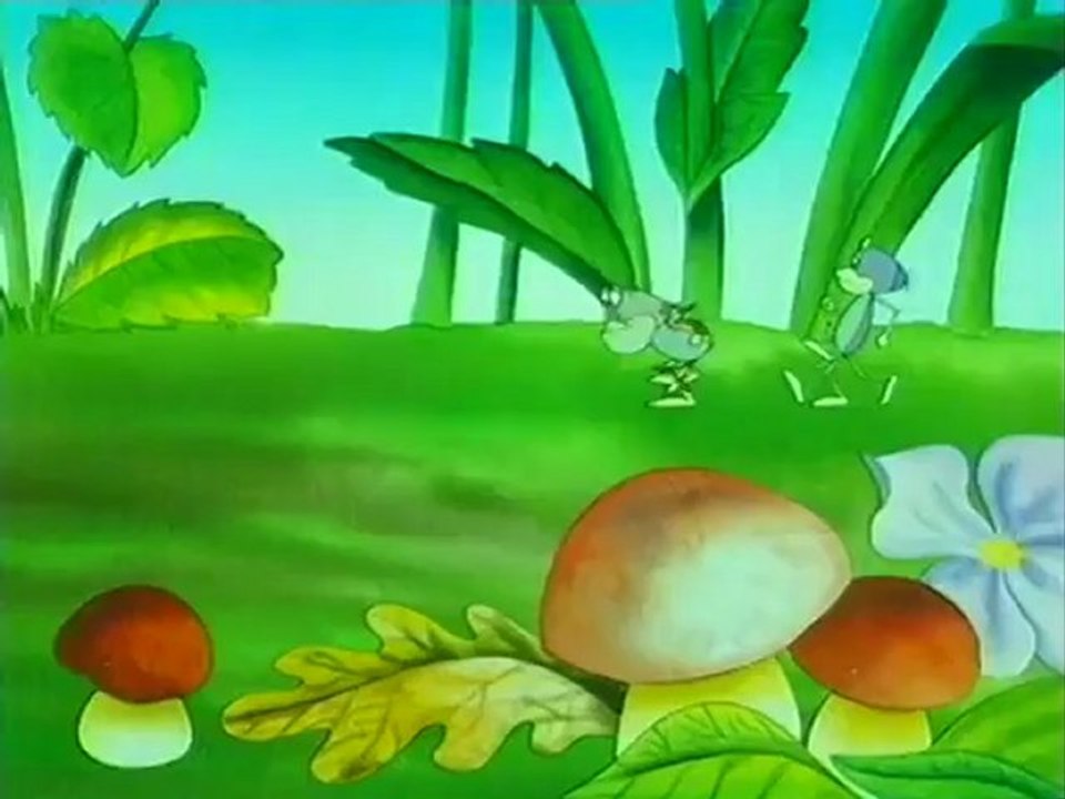 Vizipok csodapok S02E11