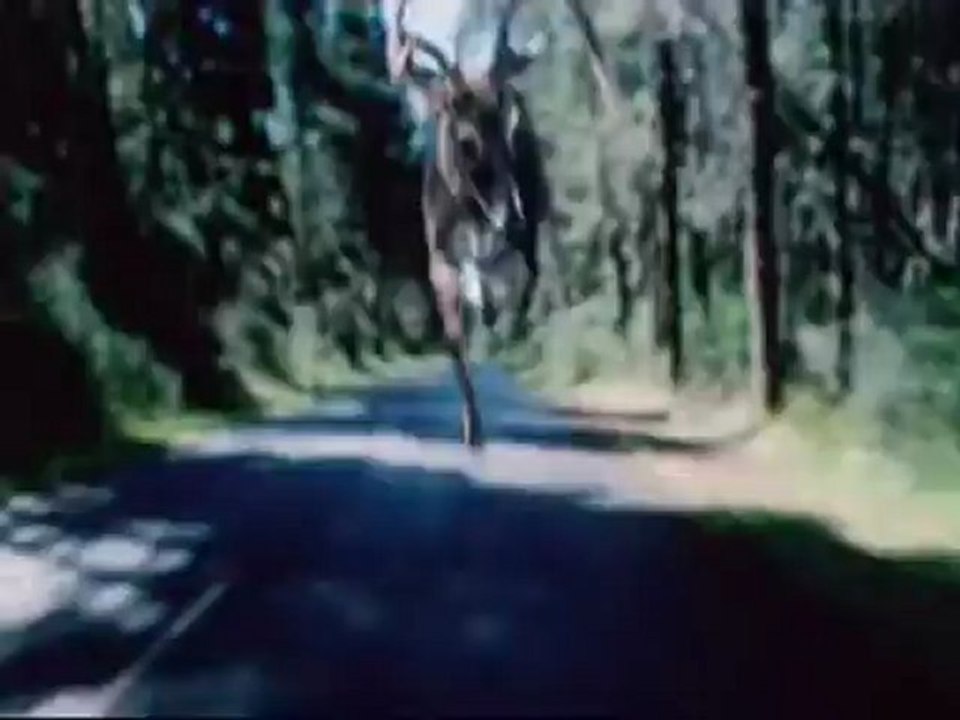 The Ring 2 - Full