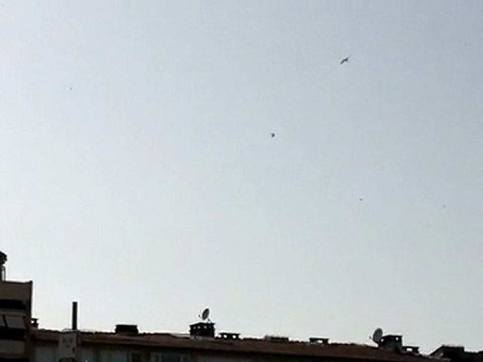 OYUN GÜVERCİNLERİ TAKLACI SEFER KUŞU  FERDİ BAYRAK 05354829474