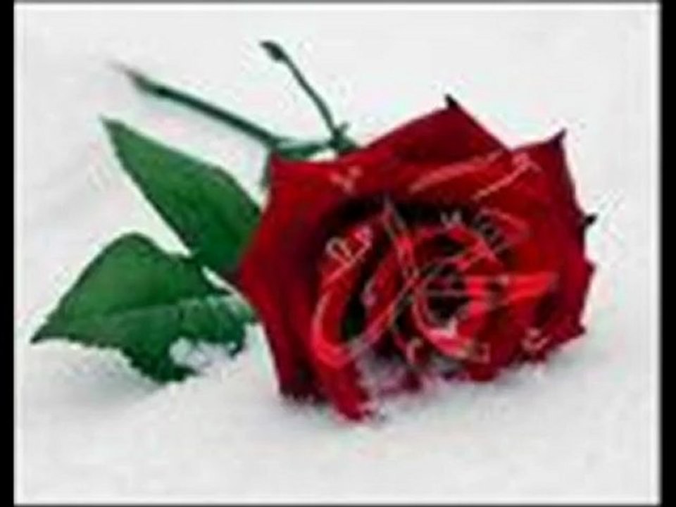 HAFIZ MENDUH Mevlana Cami kasidesi