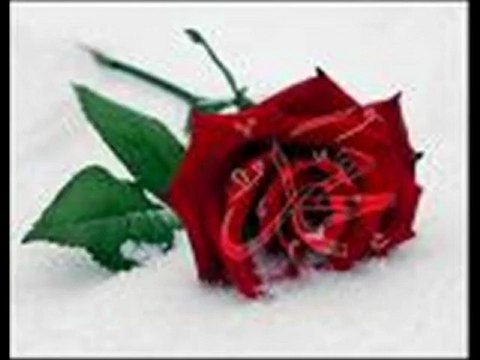 HAFIZ MENDUH Mevlana Cami kasidesi