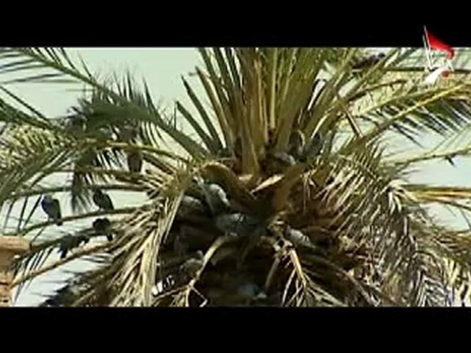 سجن السراي - برنامج امضاءة على مكان - قناة كربلاء الفضائية