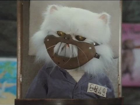 Cats And Dogs: The Revenge of Kitty Galore - Clip - Cats Rule