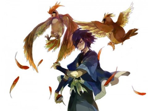 Pokemon Soul Silver [04] Combats dans les airs